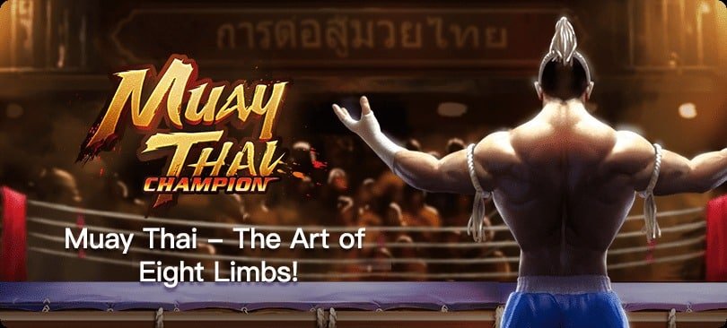 Muay Thai Champion