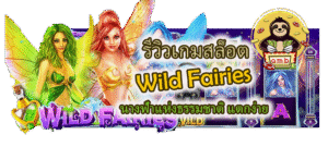 รีวิวเกมสล็อต Wild Fairies แตกง่าย