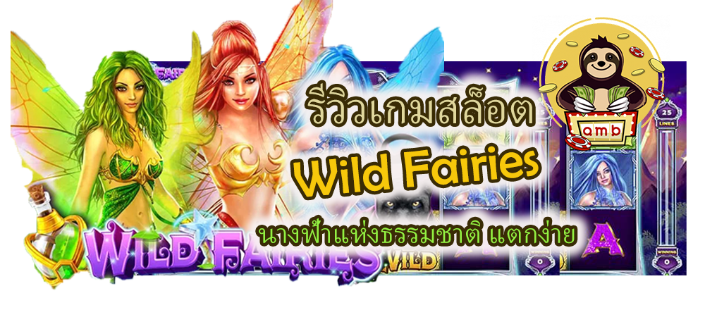 รีวิวเกมสล็อต Wild Fairies แตกง่าย
