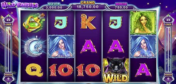 ดาวน์โหลดเล่น Wild Fairies ได้ทุกที่ทุกเวลา