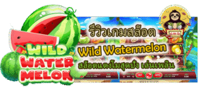 รีวิวเกมสล็อต Wild Watermelon เล่นเพลิน