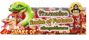รีวิวเกมสล็อต Snake of Fortune สล็อตงูแห่งโชคลาภ