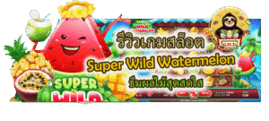 รีวิวเกมสล็อต Super Wild Watermelon ธีมผลไม้สุดสดใส